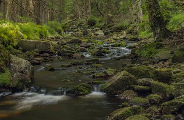 Yaz sıcak güneşli gün Neuhausen dağlarda Prebuz köyü yakınındaki nehirde Rolava