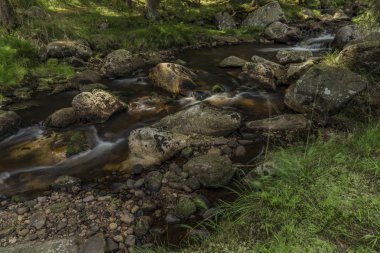 Yaz sıcak güneşli gün Neuhausen dağlarda Prebuz köyü yakınındaki nehirde Rolava