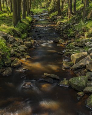 Yaz sıcak güneşli gün Neuhausen dağlarda Prebuz köyü yakınındaki nehirde Rolava