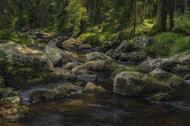Yaz sıcak güneşli gün Neuhausen dağlarda Prebuz köyü yakınındaki nehirde Rolava