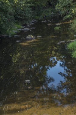 Tepla Nehri Becov nad Teplou şehirde yaz sabahı