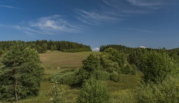 Betesmark Nära Kraslice Stad Västra Böhmen Varma Blå Himmel Dag — Stockfoto