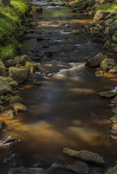 Rolava River Sommar Varm Solig Dag Nära Prebuz Village Krusne — Stockfoto