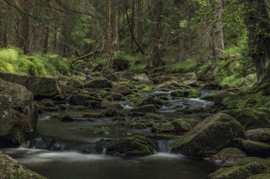 Yaz sıcak güneşli gün Neuhausen dağlarda Prebuz köyü yakınındaki nehirde Rolava