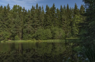 Çok sıcak yaz sabahı Liboc gölet Neuhausen dağlarda