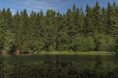 Çok sıcak yaz sabahı Liboc gölet Neuhausen dağlarda