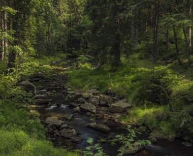 Yaz sıcak güneşli gün Neuhausen dağlarda Prebuz köyü yakınındaki nehirde Rolava