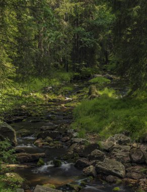 Yaz sıcak güneşli gün Neuhausen dağlarda Prebuz köyü yakınındaki nehirde Rolava