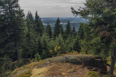 Sıcak yaz ortasında kasabada Kraslice yakınlarındaki Spicak tepe