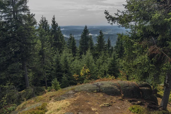 Sıcak yaz ortasında kasabada Kraslice yakınlarındaki Spicak tepe