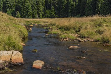 Yaz sıcak güneşli gün Neuhausen dağlarda Prebuz köyü yakınındaki nehirde Rolava