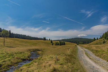 Yaz sıcak güneşli gün Neuhausen dağlarda Prebuz köyü yakınındaki nehirde Rolava