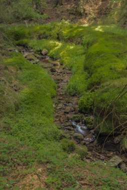 Küçük dere Slatinny sıcak yaz ortasında Neuhausen hory dağlarda