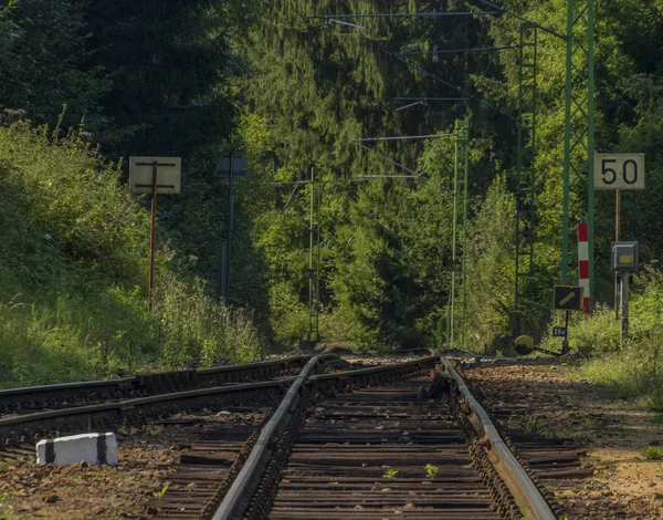 夏季罗兹姆伯克 Nad Vltavou 站的铁轨 — 图库照片