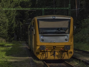 Rozmberk nad Vltavou İstasyonu sarı dizel tren ile yaz gün