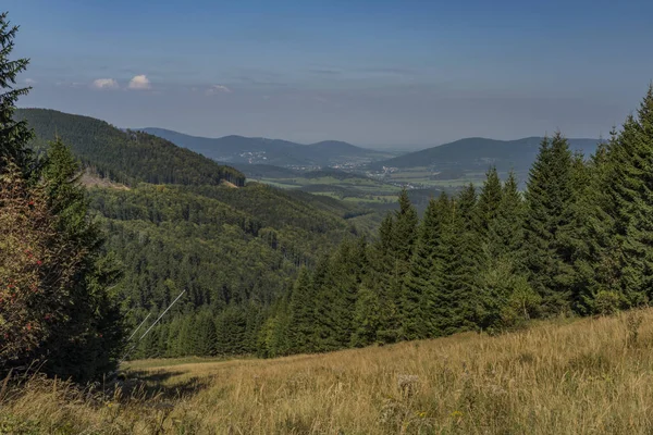 Jeseniky Dağlarda Yaz Güneşli Güzel Bir Gün Ormanda — Stok fotoğraf