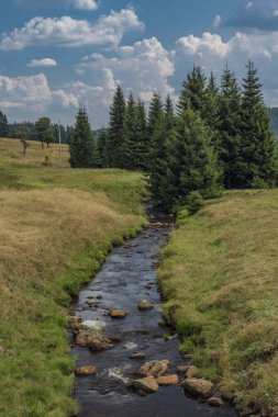 Yaz sıcak güneşli gün Neuhausen dağlarda Prebuz köyü yakınındaki nehirde Rolava