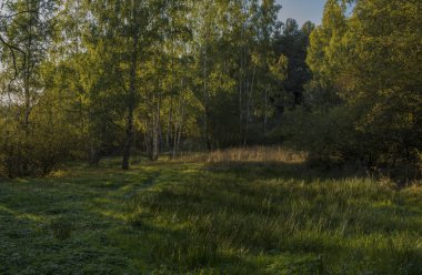 Sumava Milli Parkı Zbytiny köyü yakınındaki çayır sonbahar akşam korumalı