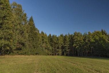 Çayır ve orman Bohemia güneyinde Sumava Ulusal Parkı'nda