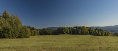 Çayır ve orman Bohemia güneyinde Sumava Ulusal Parkı'nda