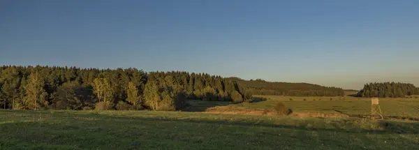 Weide Bos Sumava National Park Ten Zuiden Van Bohemen — Stockfoto