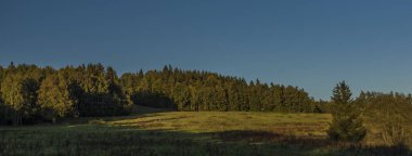 Çayır ve orman Bohemia güneyinde Sumava Ulusal Parkı'nda