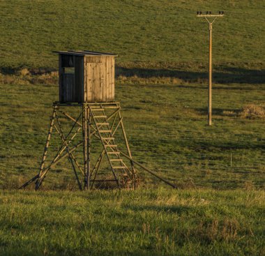 Ağaç günbatımı çayır Zbytiny köyü yakınındaki sonbahar akşam standı