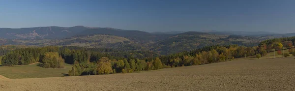 Droge Herfst Kleur Krkonoše Nationaal Park Buurt Van Roprachtice Dorp — Stockfoto