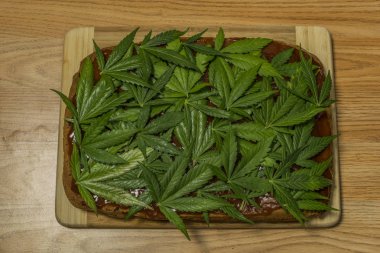 Esrar gingerbread turuncu briar marmelat ve taze yapraklar