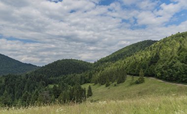 Pieniny Milli Parkı Slovakya bulutlu karanlık sıcak günde