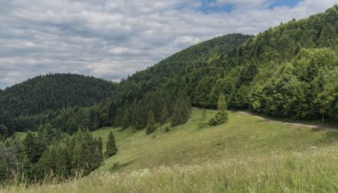 Pieniny Milli Parkı Slovakya bulutlu karanlık sıcak günde