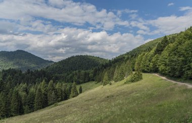 Pieniny Milli Parkı Slovakya bulutlu karanlık sıcak günde