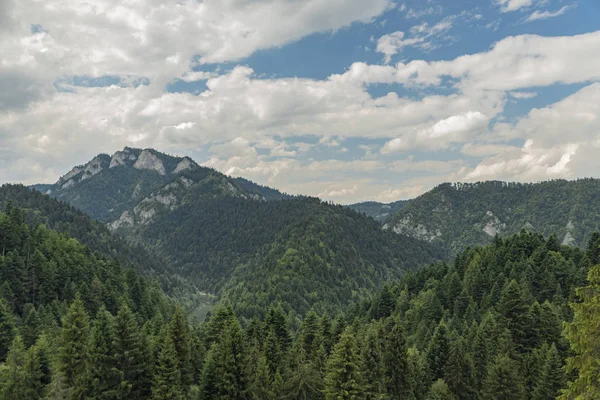 Felhős Sötét Forró Napja Pieniny Nemzeti Park Szlovákia — Stock Fotó