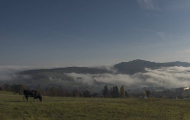 Slovakya sınırı yakınlarında Zitkova köyü yakınındaki Vadisi'nde inversiyon ile güzel bir sabah