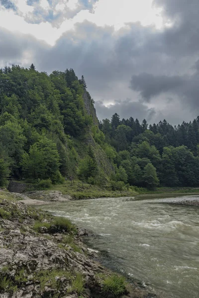 Sötét Szürke Reggel Lesnicky Creek Dunajec Folyó Torkolatánál Pieniny Nemzeti — Stock Fotó