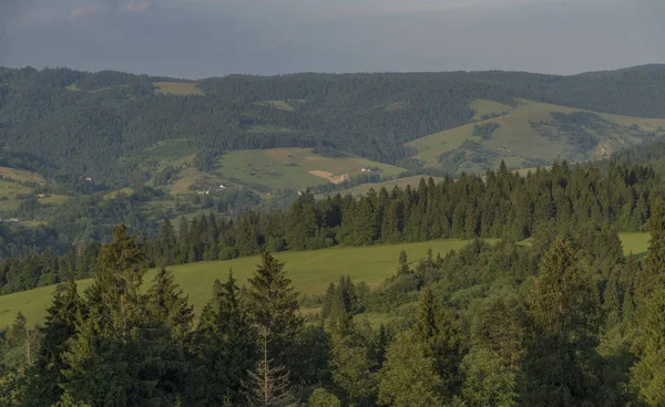 Abend Nationalpark Pieniny Mit Sonnigem Sonnenschein Über Grünen Wiesen Und — Stockfoto