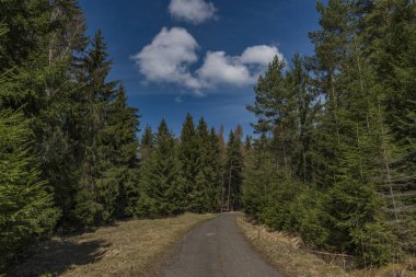 Asfalt yolun yakınındaki çayır ve mera arazi bahar güzel gün