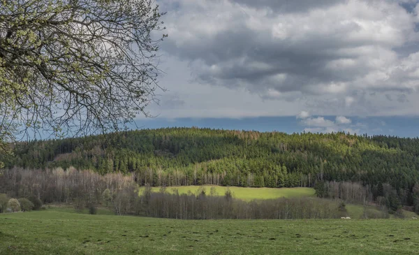 Pâturages Prairies Près Ville Horni Slavkov Printemps Belle Journée — Photo