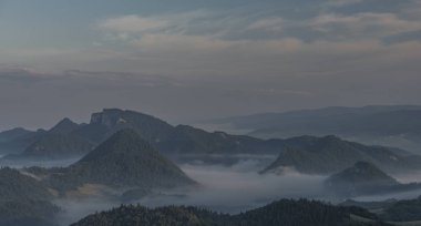 Yeşil çayırlar üzerinde sunny Parlatıcı ve başları üzerinde mavi gökyüzü ile milli park Pieniny sabah