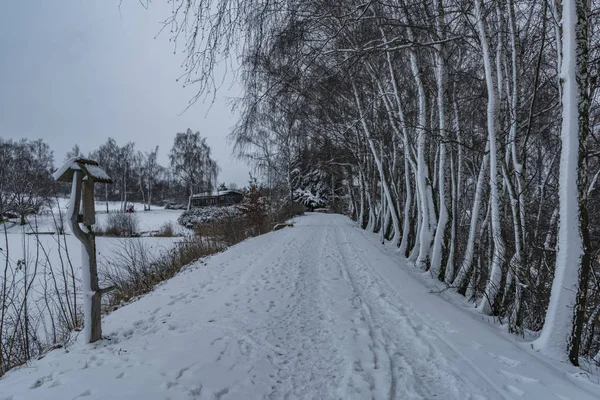 Dunkler Morgen Mit Schnee Bewölkt Kalten Winterpfad Der Nähe Teich — Stockfoto