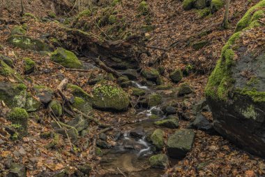Kış soğuk bulutlu gün Prucelsky dereye Ceske Stredohori dağlarında
