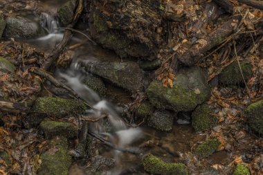 Kış soğuk bulutlu gün Prucelsky dereye Ceske Stredohori dağlarında
