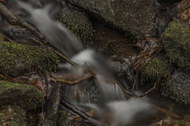 Kış soğuk bulutlu gün Prucelsky dereye Ceske Stredohori dağlarında