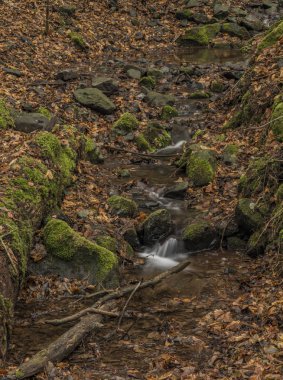 Kış soğuk bulutlu gün Prucelsky dereye Ceske Stredohori dağlarında