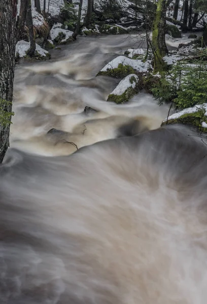 Débordement Rapide Rivière Bystrice Dans Les Montagnes Krusne Matin Hiver — Photo