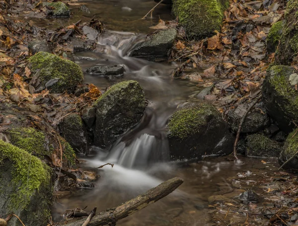 Prucelsky Creek Winter Koud Bewolkte Dag Ceske Stredohori Bergen — Stockfoto