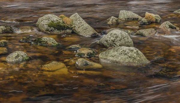 Roklansky Creek Šumava Nemzeti Park Téli Napon Modrava Falu Közelében — Stock Fotó