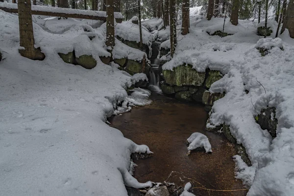 Cascade Miluscine Hiver Froid Avec Glace Blanche Neige — Photo