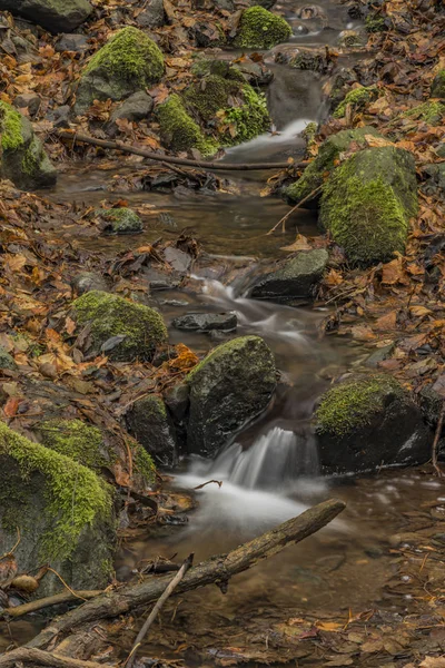 Prucelsky Arroyo Invierno Día Nublado Frío Las Montañas Ceske Stredohori — Foto de Stock