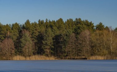 Hodejovicky gölet kış soğuk güneşli güzel gün Güney Bohemya'da